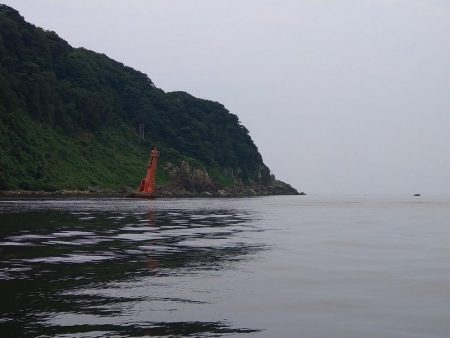 アジングでアコウ